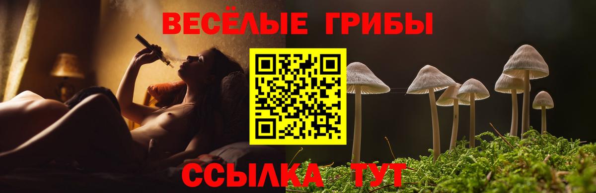 Галлюциногенные грибы Cubensis Ипатово